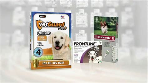 vetguard market.